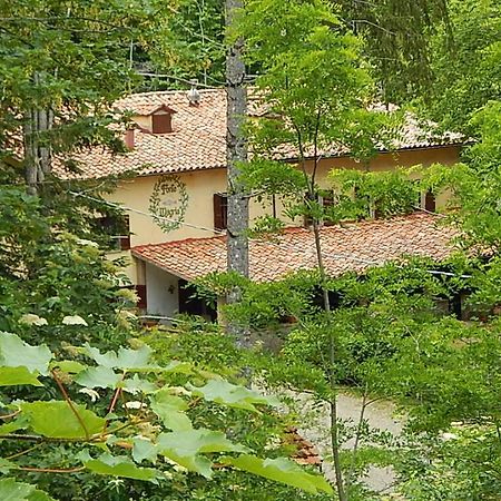 אבדיאה סאן סלבטורה Agriturismo Fonte Magria מראה חיצוני תמונה
