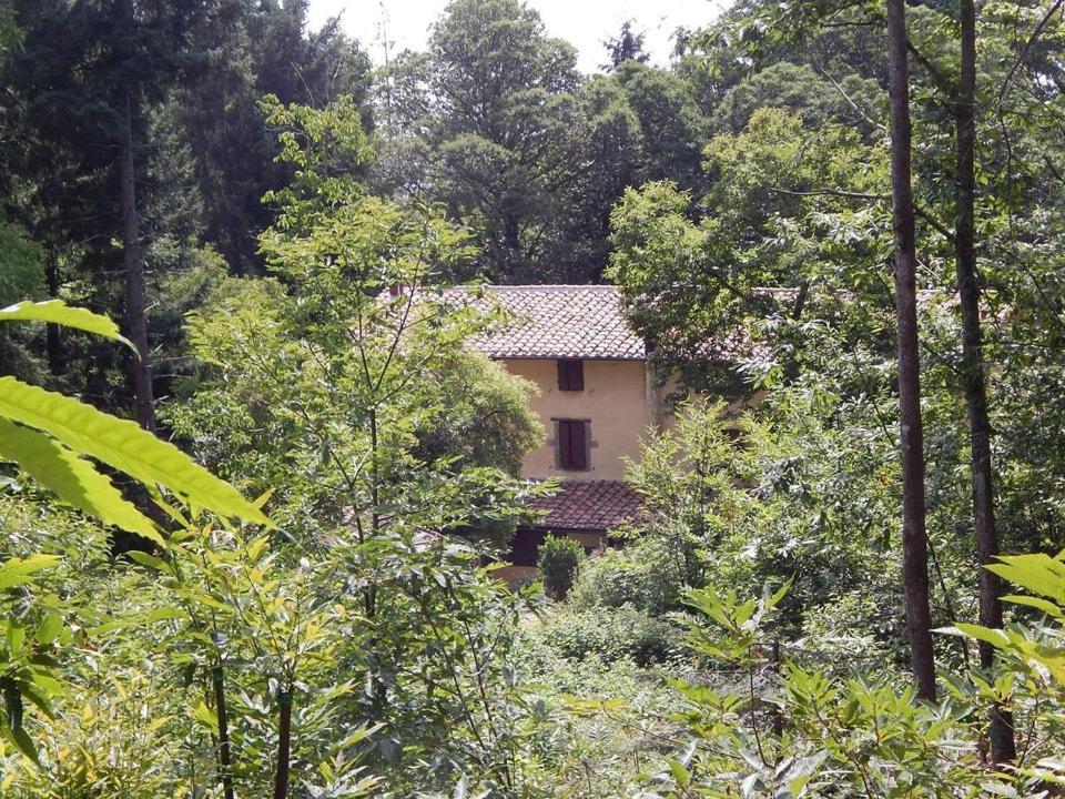 אבדיאה סאן סלבטורה Agriturismo Fonte Magria מראה חיצוני תמונה